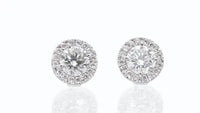 Halo Diamond Studs - 2.5 Carat