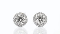 Halo Diamond Studs - 3 Carat