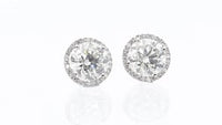 Diamond Halo Studs - 5.3 Carat
