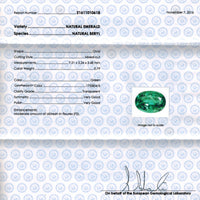 Emerald Flower Shaped Drop Earrings - GRS certificate