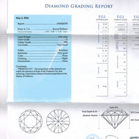 Halo Diamond Studs - 1.1 Carat