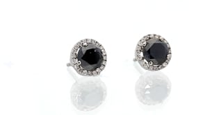 Black Diamond Halo Stud Earrings - 2.4 Carat