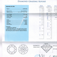 Halo Round Diamond Studs - 1.2 Carat